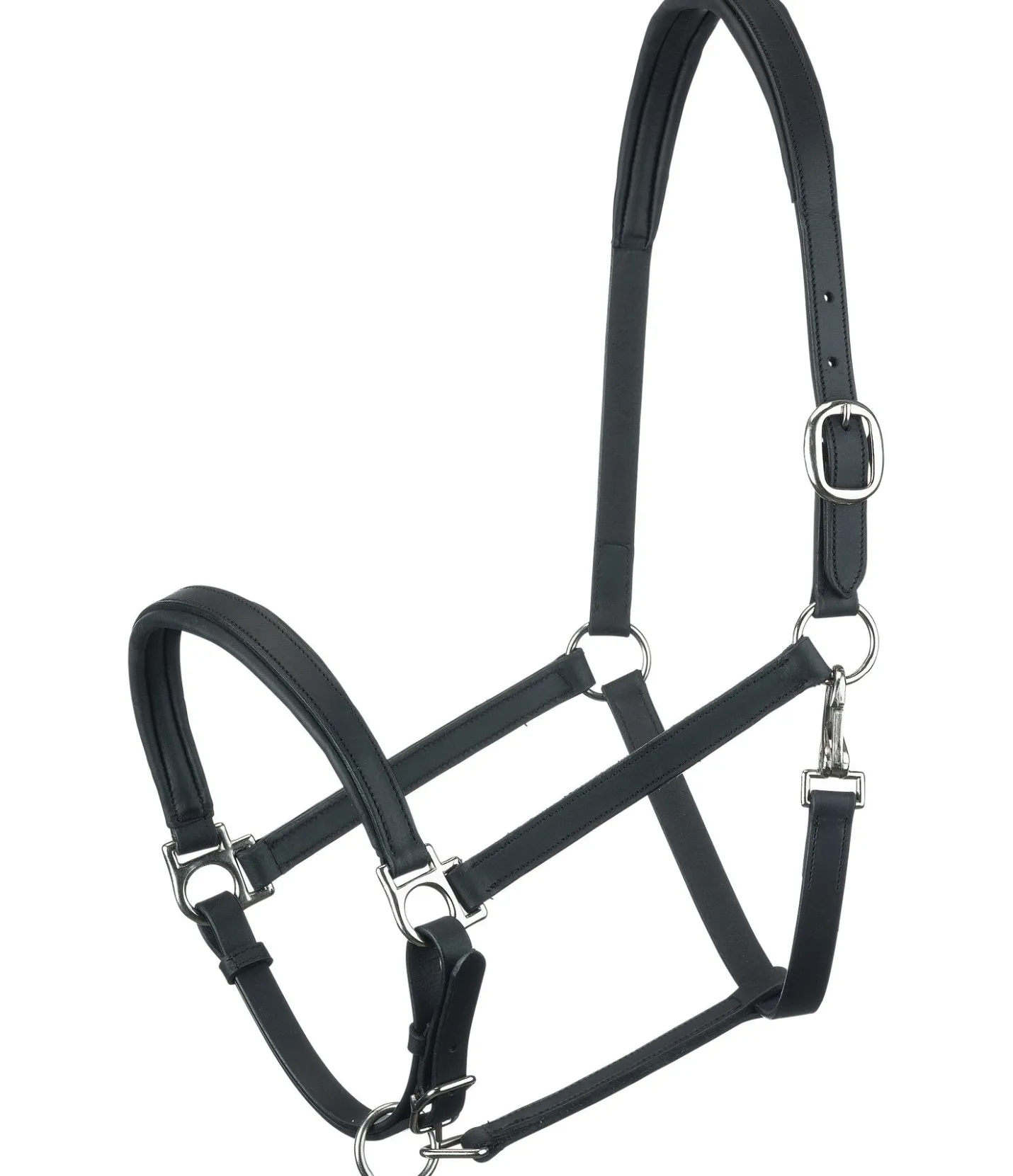 SHOWMASTER Licol en cuir Siri noir Outlet