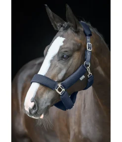 Felix Bühler Licol en mesh Airflow navy Clearance