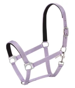 SHOWMASTER Licol en nylon à prix cassé II violet Online