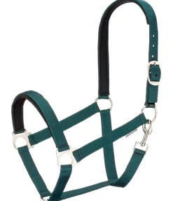 SHOWMASTER Licol en nylon à prix cassé II vert d´eau