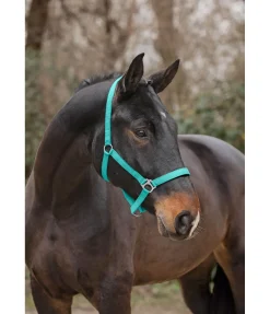 SHOWMASTER Licol en nylon à prix cassé II bleu lagune Clearance