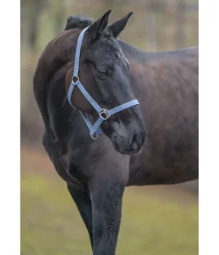 SHOWMASTER Licol en nylon à prix cassé ciel nuageux Online