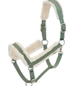 Felix Bühler Licol en polaire Teddy Anatomical Relaxation olive Hot