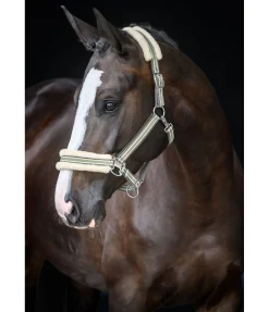 Felix Bühler Licol en polaire Teddy Essential II aloe vera Outlet