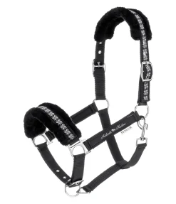 FENGUR Licol en polaire Teddy Norway Spirit noir Discount