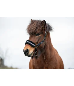 FENGUR Licol en polaire Teddy Norway Spirit noir Discount