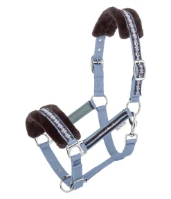 FENGUR Licol en polaire Teddy Norway Spirit gris/bleu clair Discount