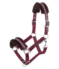 FENGUR Licol en polaire Teddy Norway Spirit cabernet Hot