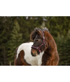 FENGUR Licol en polaire Teddy Norway Spirit cabernet Hot