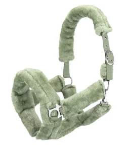 SHOWMASTER Licol en polaire Teddy Protection aloe vera Best