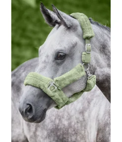 SHOWMASTER Licol en polaire Teddy Protection aloe vera Best