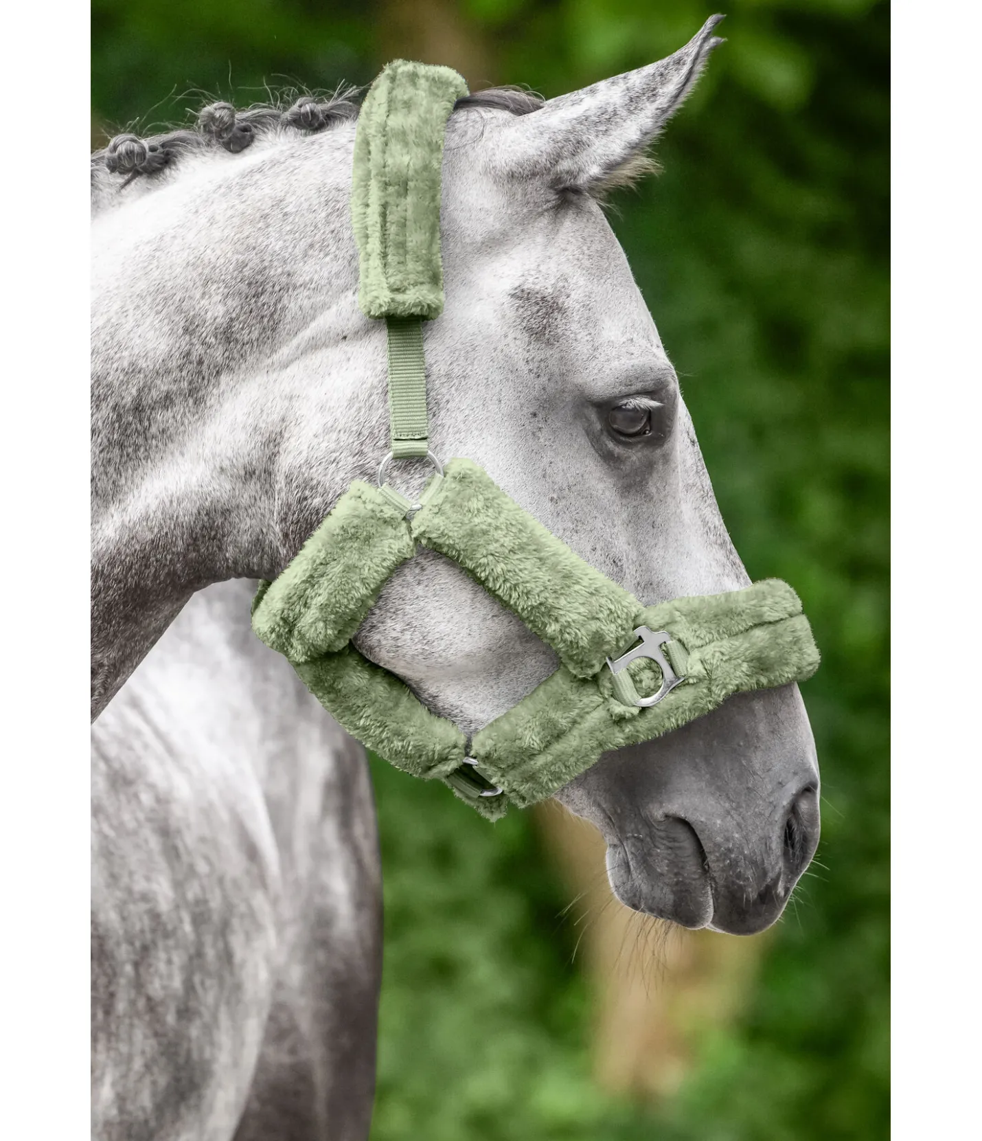 SHOWMASTER Licol en polaire Teddy Protection aloe vera Best