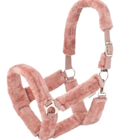 SHOWMASTER Licol en polaire Teddy Protection chair Hot