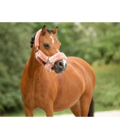 SHOWMASTER Licol en polaire Teddy Protection chair Hot