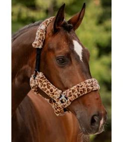 SHOWMASTER Licol en polaire Teddy Protection léo-brun Sale