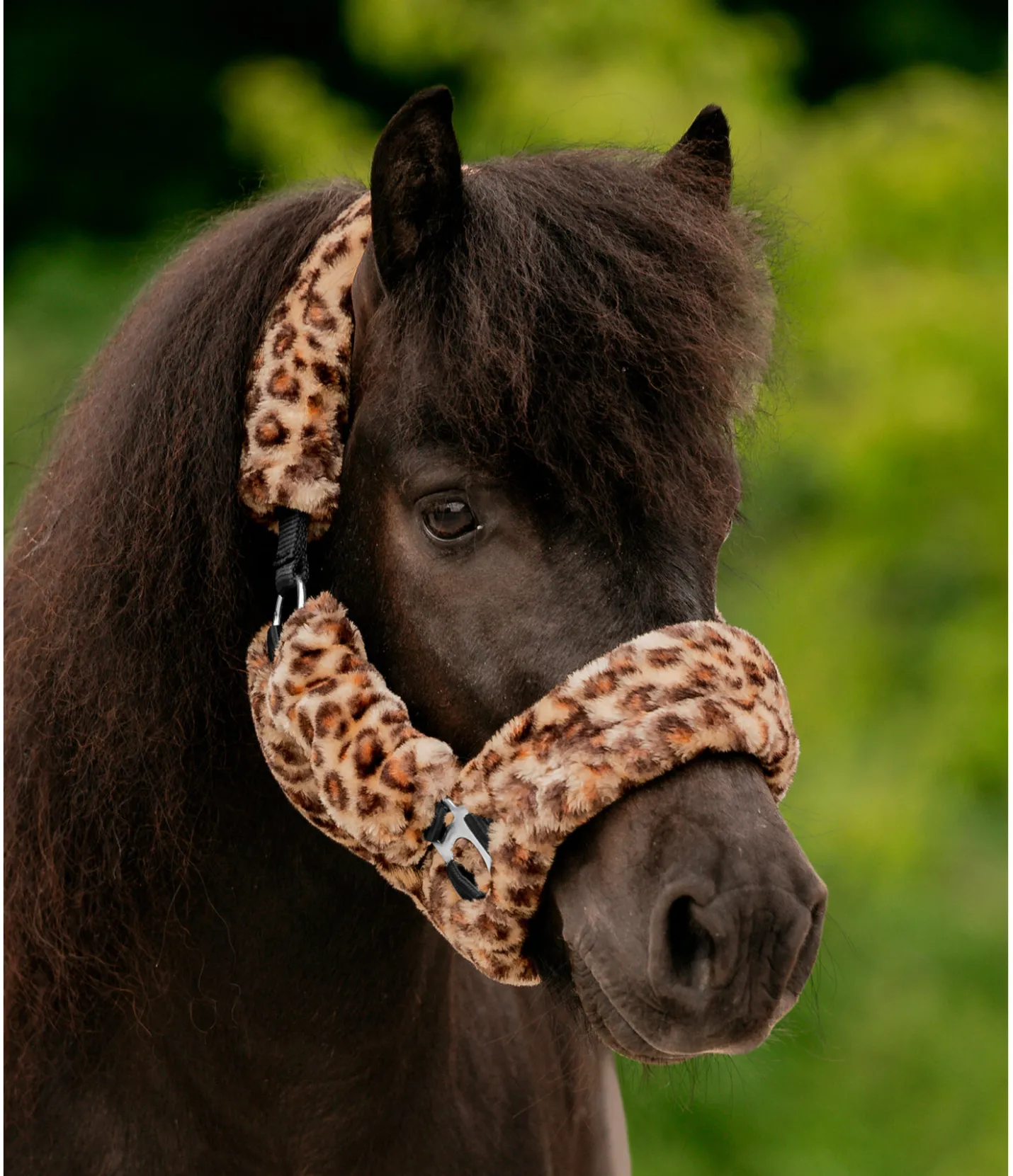 SHOWMASTER Licol en polaire Teddy Protection léo-brun Sale
