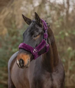 SHOWMASTER Licol en polaire Teddy Protection violet guimauve New
