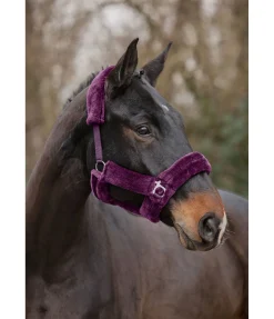 SHOWMASTER Licol en polaire Teddy Protection violet guimauve New