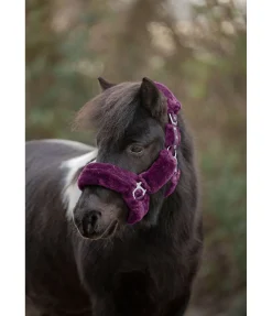 SHOWMASTER Licol en polaire Teddy Protection violet guimauve New