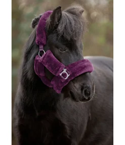 SHOWMASTER Licol en polaire Teddy Protection violet guimauve New