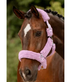 SHOWMASTER Licol en polaire Teddy Protection violet New