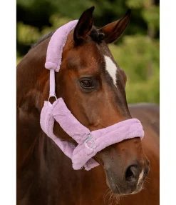 SHOWMASTER Licol en polaire Teddy Protection violet New