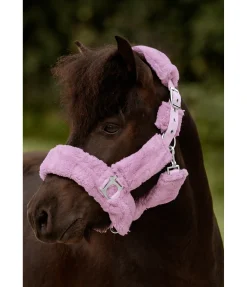 SHOWMASTER Licol en polaire Teddy Protection violet New