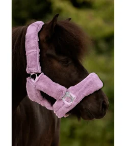 SHOWMASTER Licol en polaire Teddy Protection violet New