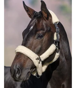 SHOWMASTER Licol en polaire Teddy Protection nature Best