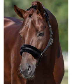 SHOWMASTER Licol en polaire Teddy à prix cassé III noir Online