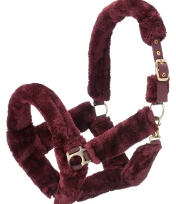 SHOWMASTER Licol en polaire Teddy Protection acajou Hot