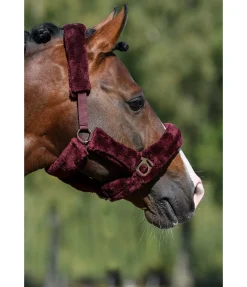 SHOWMASTER Licol en polaire Teddy Protection acajou Hot