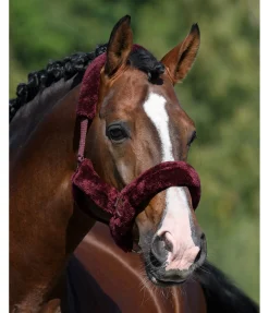 SHOWMASTER Licol en polaire Teddy Protection acajou Hot