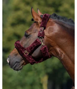 SHOWMASTER Licol en polaire Teddy Protection acajou Hot