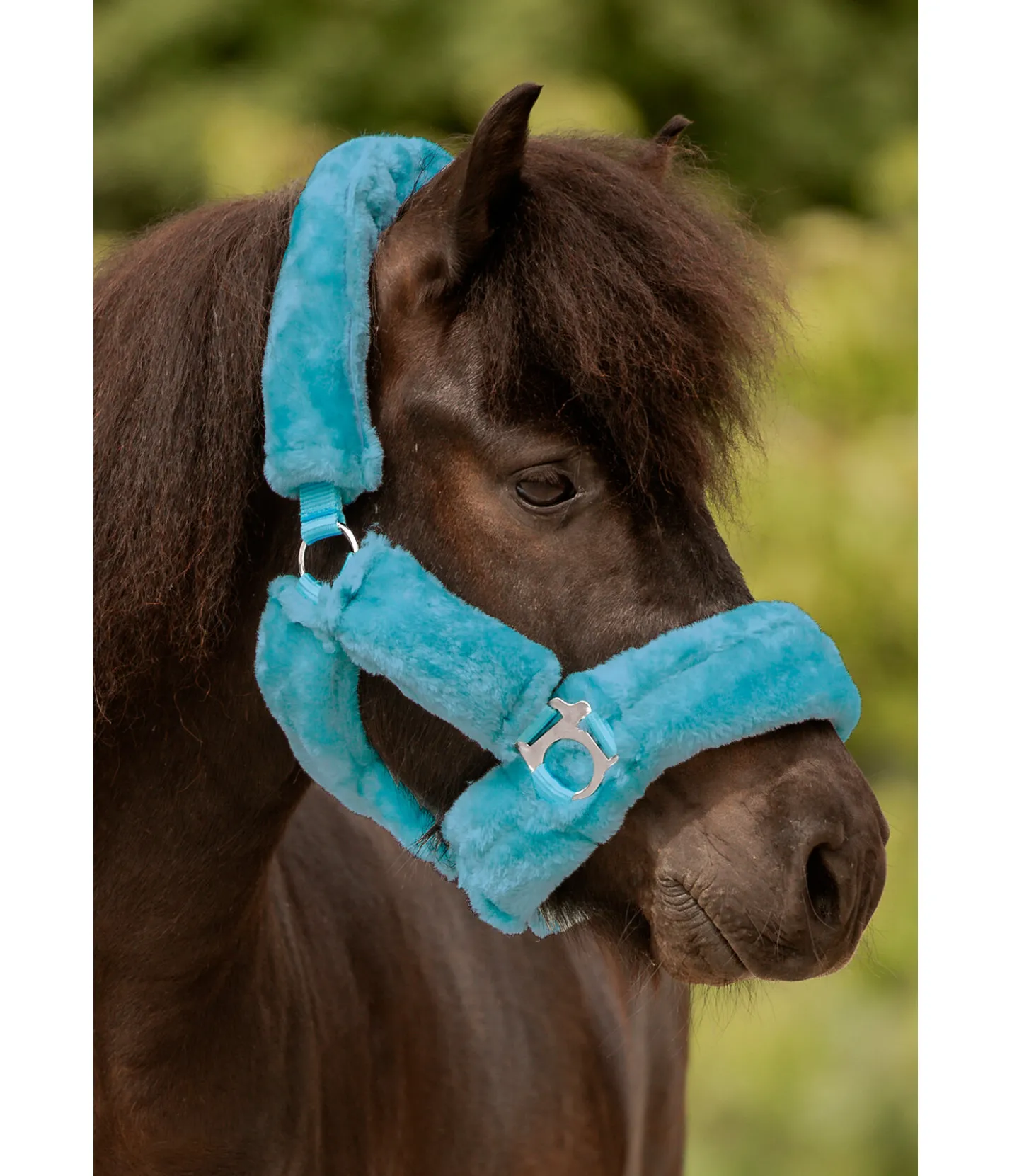 SHOWMASTER Licol en polaire Teddy Protection bleu hiver Discount
