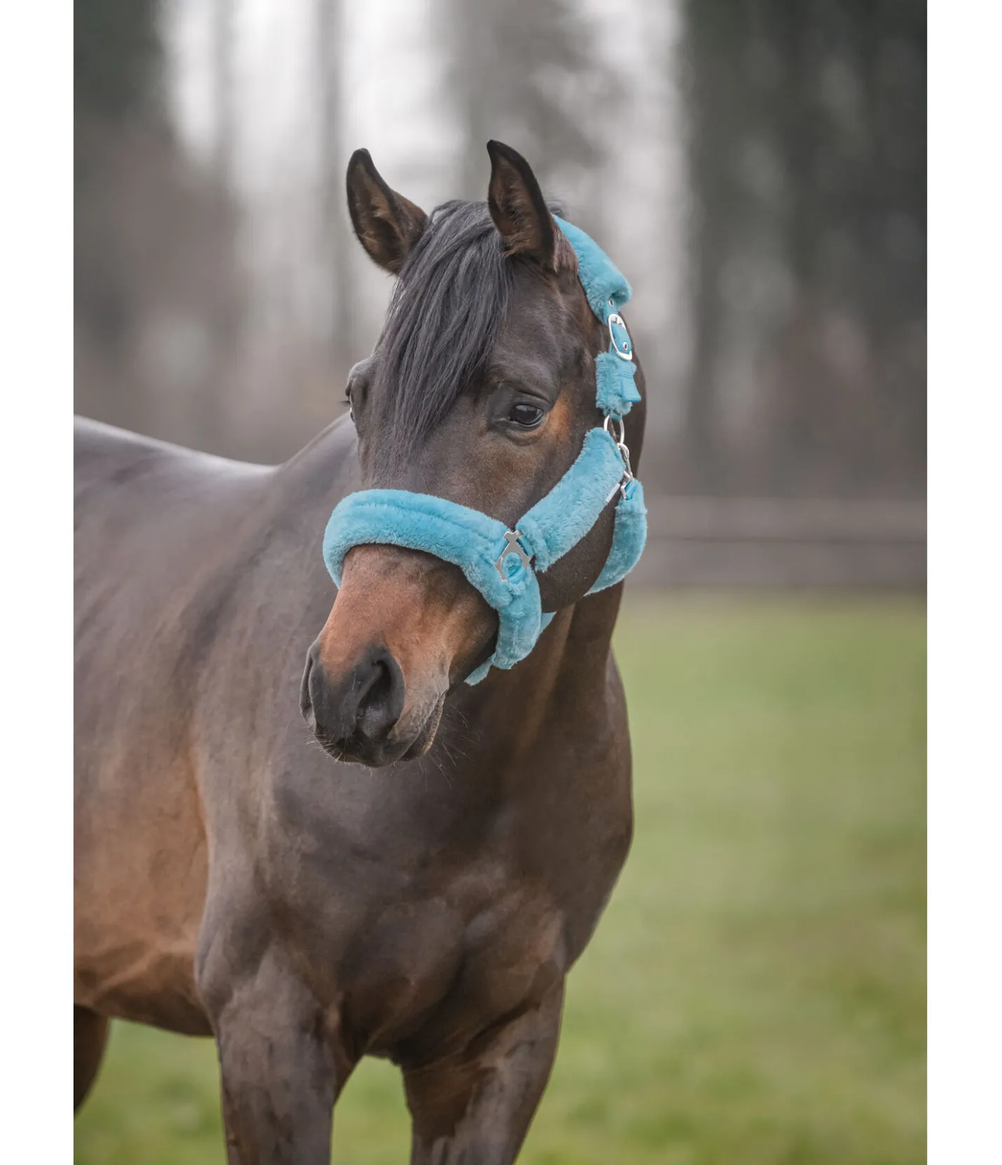 SHOWMASTER Licol en polaire Teddy Protection bleu hiver Discount