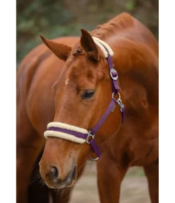 SHOWMASTER Licol en polaire Teddy à prix cassé III violet guimauve