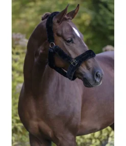 SHOWMASTER Licol en polaire Teddy Protection noir Discount