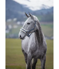 SHOWMASTER Licol en polaire Teddy à prix cassé III ciel nuageux Sale