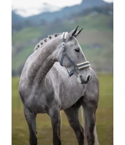 SHOWMASTER Licol en polaire Teddy à prix cassé III ciel nuageux Sale