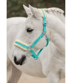 SHOWMASTER Licol en polaire Teddy à prix cassé III bleu lagune