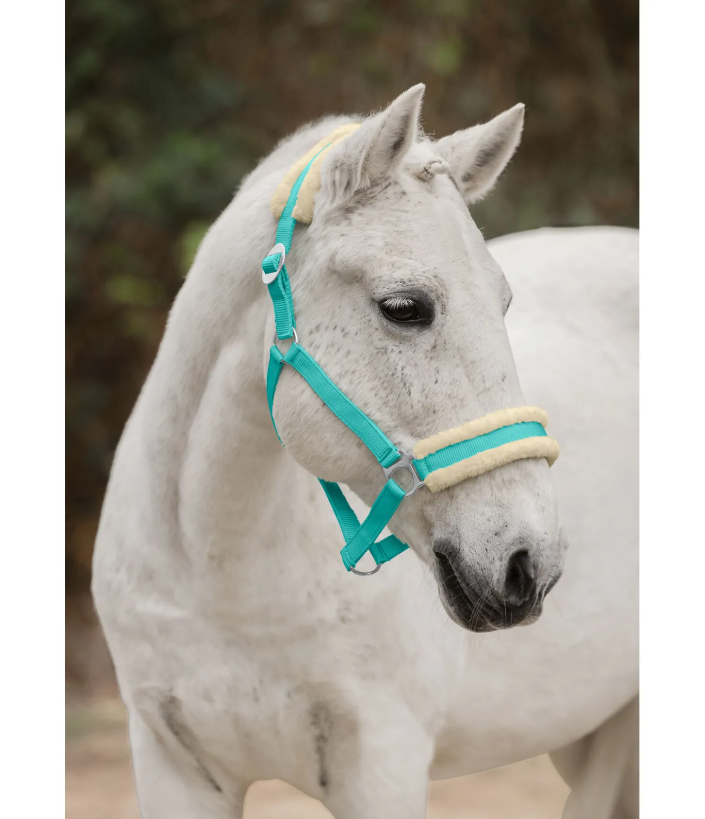 SHOWMASTER Licol en polaire Teddy à prix cassé III bleu lagune