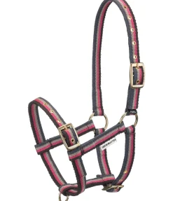 SHOWMASTER Licol poulain Darling chocolat Sale