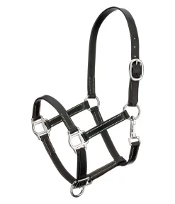 CLARIDGE HOUSE Licol poulain en cuir Classic noir/argenté Clearance