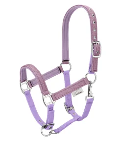 Felix Bühler Licol poulain et shetland Twinkle violet