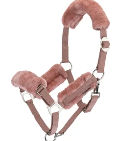SHOWMASTER Licol poulain et shetland en polaire Teddy Cozy Adjustable chair Sale