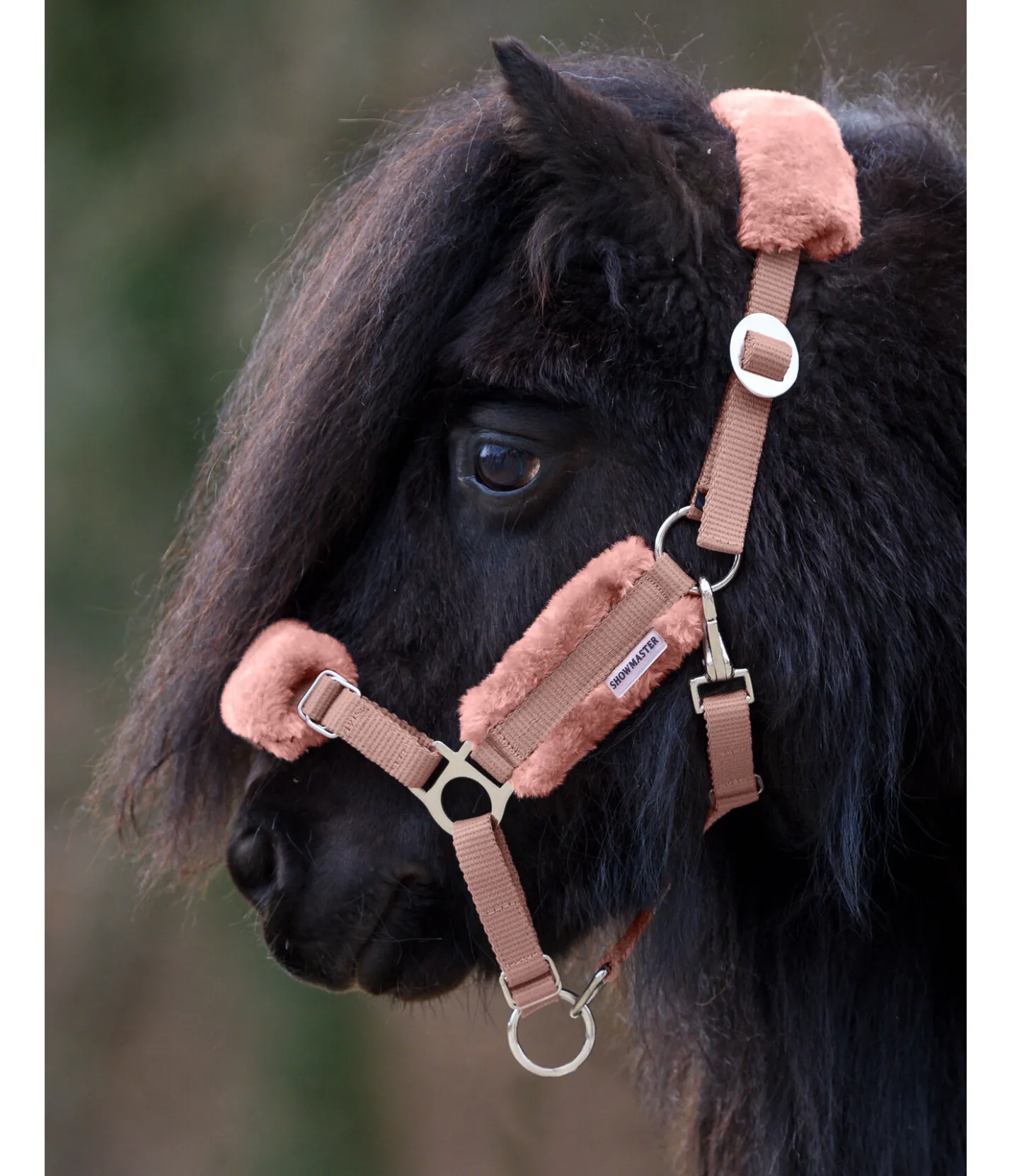 SHOWMASTER Licol poulain et shetland en polaire Teddy Cozy Adjustable chair Sale