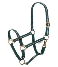SHOWMASTER Licol poulain et shetland Shimmering vert d´eau Hot