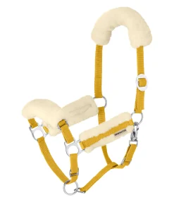 SHOWMASTER Licol poulain et shetland en polaire Teddy Cozy Adjustable mangue dorée Sale