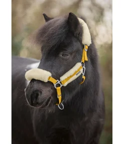 SHOWMASTER Licol poulain et shetland en polaire Teddy Cozy Adjustable mangue dorée Sale